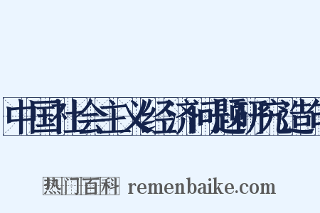 中国社会主义经济问题研究造句是什么意思的图片